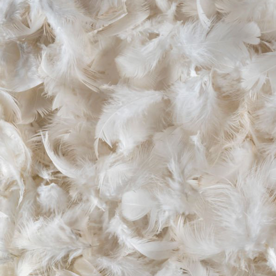 DOWN & FEATHERS (BY THE BAG)